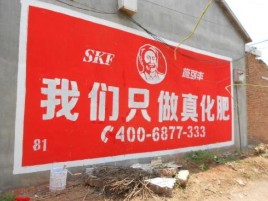 宁乡刷墙广告”蕴含了时代命题