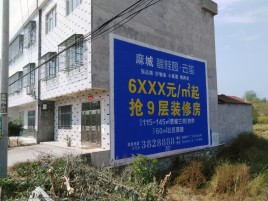 宁乡墙体广告质量分析