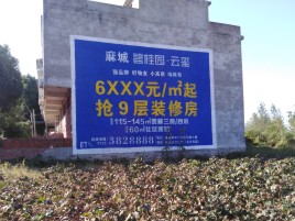 宁乡墙体广告的好处
